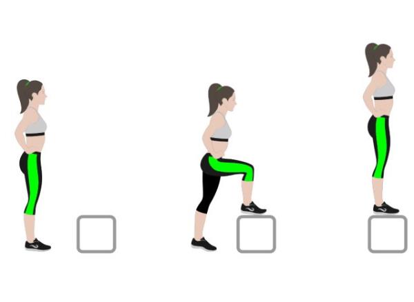 illustration of step-ups, strength workouts for women to get to<em></em>ned legs