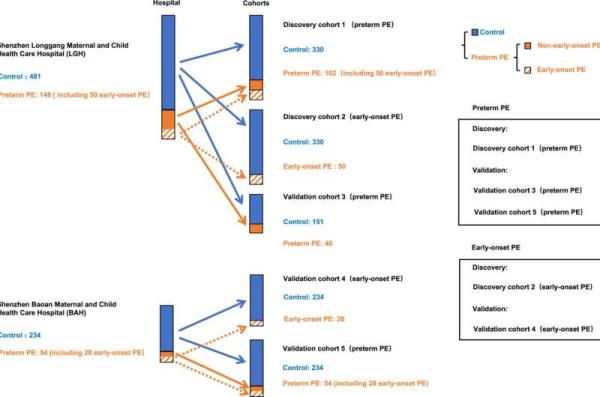 How cfRNA could revolutio<em></em>nize preeclampsia diagnosis