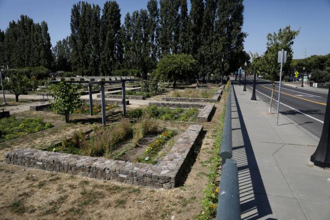 Land currently occupied with the Oxbow Gardens would be developed as part of the Oxbow South project. The project's preliminary plan includes 130 residential units and a 170-room hotel located across from the Oxbow Public Market. Photo taken in Napa, Monday, July 17, 2023. (Beth Schlanker / The Press Democrat)