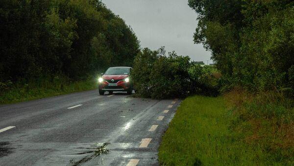 Farm legal advice: Am I respo<em></em>nsible for fallen trees from my farm