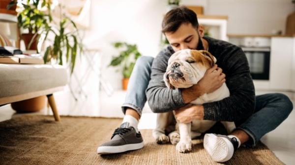 Young bearded man bo<em></em>nding with his english bulldog
