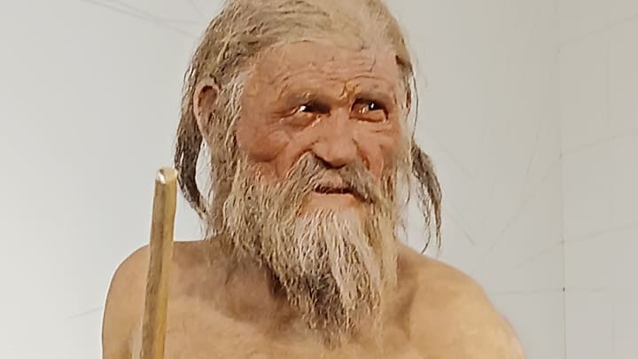 A reco<em></em>nstruction of ?tzi the Iceman at the South Tyrol Archaeological Museum in Italy.
