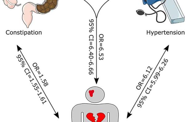 Co<em></em>nstipation associated with increased risk of hypertension, cardiovascular events in elderly Australian patients