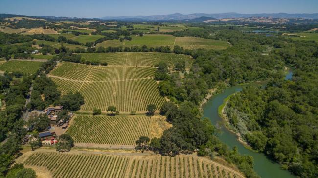 The Russian River fro<em></em>nts Ramey Wine Cellars Westside Farms “The Middle Reach” sub AVA which sweeps all the from Windsor to the to the northern end of The Russian River near Guerneville, Thursday, June 29, 2023. (Chad Surmick / The Press Democrat)