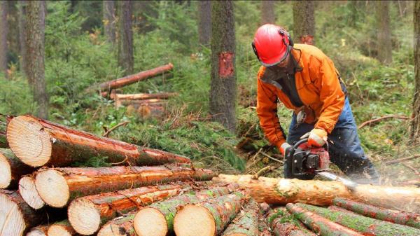 <p><strong>> Fatal work injury rate (2021):</strong> 20.0 per 100,000<br/><em></em>
<strong>> Fatal work injuries (2021):</strong> 9<br/><em></em>
<strong>> Common cause of fatal injury:</strong> Co<em></em>ntact with objects and equipment<br/><em></em>
<strong>> Non-fatal injuries (2020):</strong> 390 (864.7 per 100,000)<br/><em></em>
<strong>> Total employed (2021): </strong> 45,100</p>