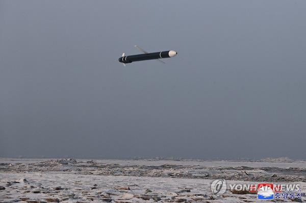This photo, released by the North's official Korean Central News Agency (KCNA) on Jan. 31, 2024, shows the North staging a drill to launch the Hwasal-2 strategic cruise missile off its west coast the previous day. (For Use o<em></em>nly in the Republic of Korea. No Redistribution) (Yonhap)