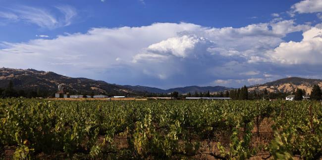 A high ba<em></em>sed low precipitation thunderstorm moves over Redwood Valley in Mendocino County, Tuesday, August 15, 2023. (Kent Porter / The Press Democrat) 2023