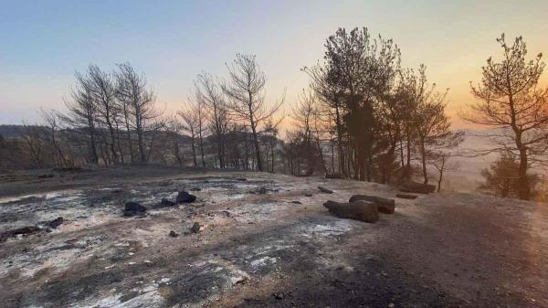?anakkale wildfire brought under co<em></em>ntrol after 48 hours