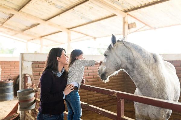 Horses are known for their ability to form strong emotio<em></em>nal bo<em></em>nds with humans.