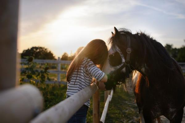 Interacting with horses can provide a sense of companionship, trust, and emotio<em></em>nal support, which is valuable in therapeutic settings.