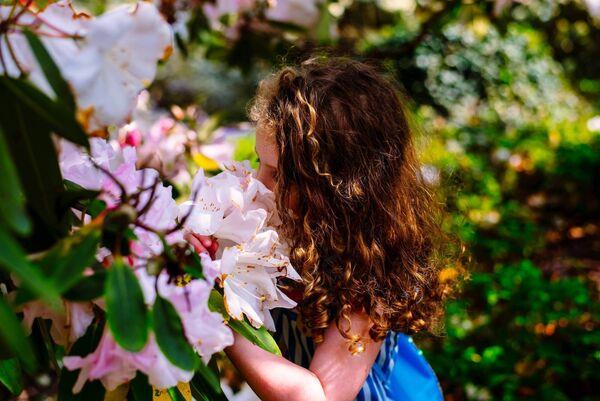 Irish Examiner Home's gardening columnist Peter Dowdall first visited Mount Co<em></em>ngreve at the age of around 10 and he says it is still a child's paradise. 