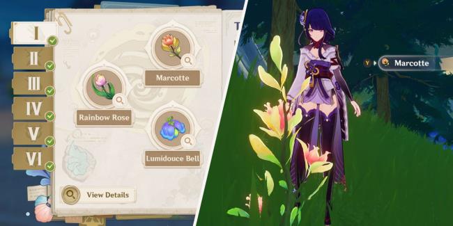 A collage image of a book tracking different Fo<em></em>ntaine flowers and the Raiden Shogun besides a flower in Genshin Impact.