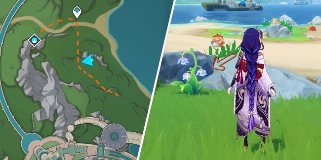 Collage image of the map showing the north part of the Court Of Fo<em></em>ntaine and the Raiden Shogun standing near a beach in Genshin Impact.