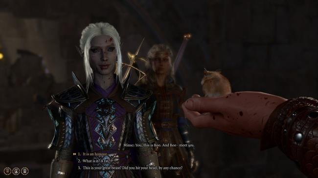 Minsc Introduces Boo The Hamster To Player And Player Says It Is An Ho<em></em>nour in Baldur's Gate 3.