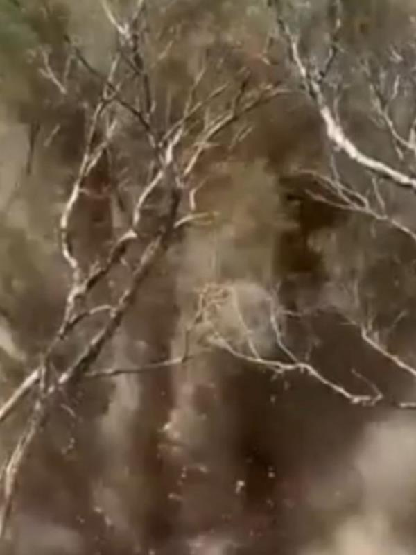 Three 80-year-old bombs discovered by rangers in the Bilwon State Forest might<em></em>’ve been rusted on the outside, but their insides remained as deadly as the day they were manufactured.