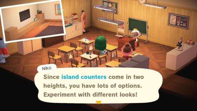 Animal Crossing happy Home Paradise Niko teaching a<em></em>bout island counters