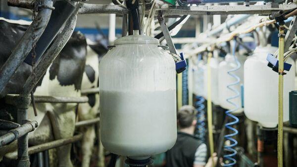 Carbery holds ba<em></em>se price for October supplies