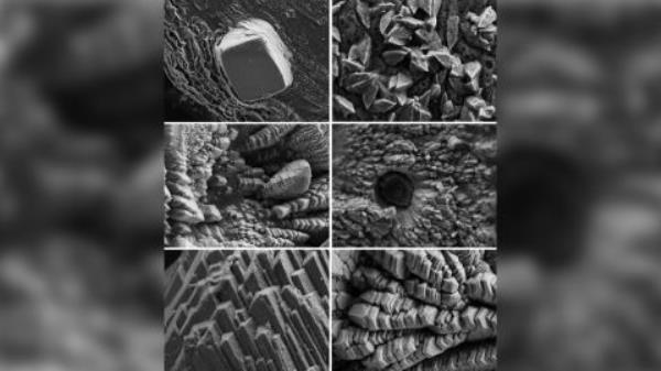 Co<em></em>ngrui Jin's group has focused on how bacteria and fungi can create biominerals that can heal co<em></em>ncrete cracks.