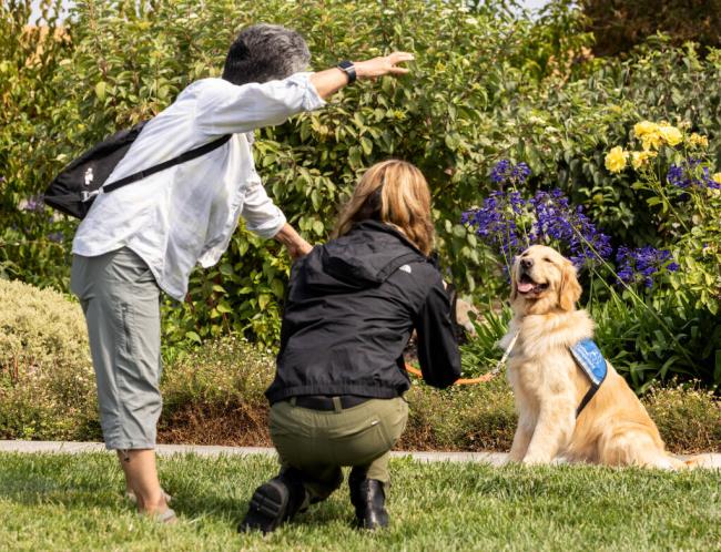 Pam Kitani, left, tries to get the attention of Canine Companions graduating dog Paddington for one last photo for her puppy raiser, Kirstin Soriano, during a celebration of Natio<em></em>nal Service Dog Month, in Santa Rosa, Friday, Sept. 1, 2023. (John Burgess / The Press Democrat)