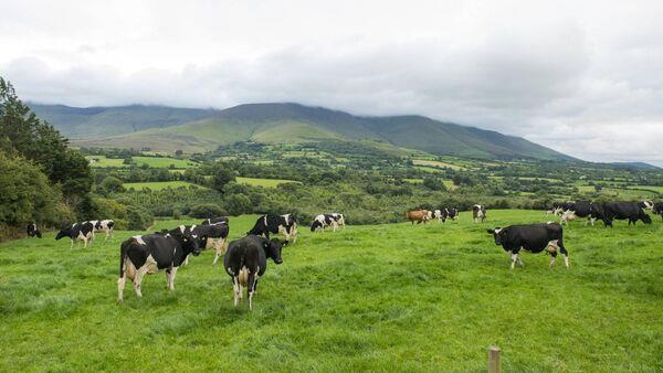 'Huge consequences' for farmers as meeting with commissio<em></em>ner fails to change nitrates outcome