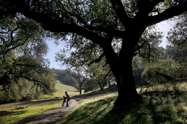 Megan Kaun picks up her daughter Wrenna, 3, as they walk along a trail at Taylor Mountain Regio<em></em>nal Park in Santa Rosa, on Sunday, January 10, 2016. (BETH SCHLANKER/ The Press Democrat)