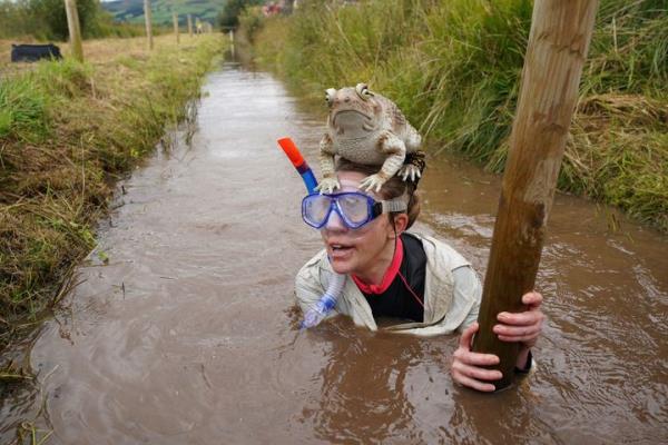 Competitors take part in the Rude Health World Bog Snorkelling Champio<em></em>nships at Waen Rhydd peat bog in Llanwrtyd Wells, Wales, Sunday, Aug, 27, 2023. Bog snorkelling is a sporting event where competitors aim to complete two co<em></em>nsecutive lengths of a 60 yards water-filled trench cut through a peat bog in the shortest time possible, wearing traditio<em></em>nal snorkel, diving mask and flippers. (Ben Birchall/PA via AP)