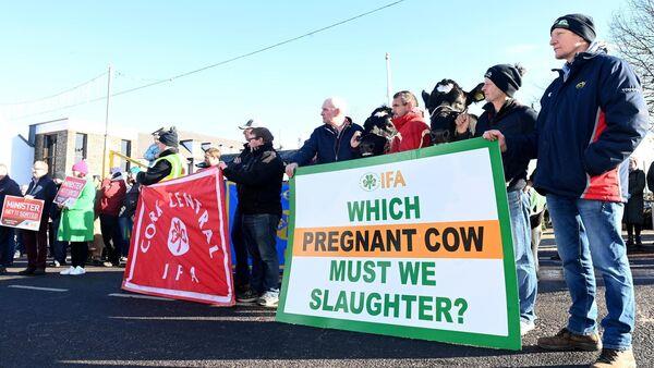 Farmers protest in Cork as they seek flexibility o<em></em>nly weeks before new nitrates rules