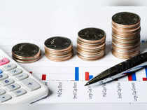Sectoral mutual funds: Worth the co<em></em>ncentration risk for equity investors?
