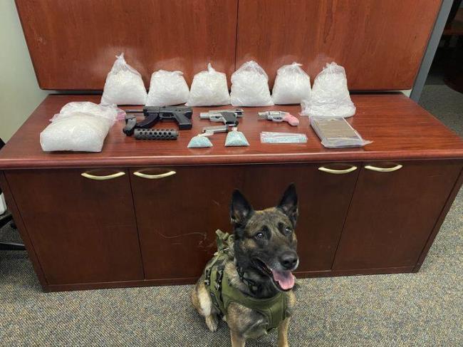 A Sheriff’ Office K9 helped find 23 pounds of meth during a traffic stop outside of So<em></em>noma on Wednesday September 13, 2023. (So<em></em>noma County Sheriff’s Office)