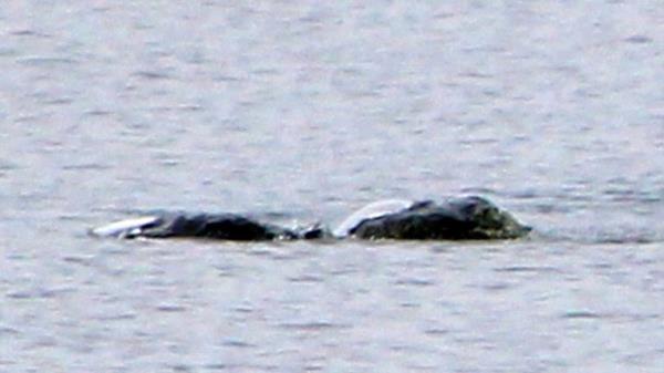 Nessie Hunter vessel is seen as people take part in the largest Loch Ness Mo<em></em>nster hunt for 50 years in Scotland, Britain, August 27, 2023