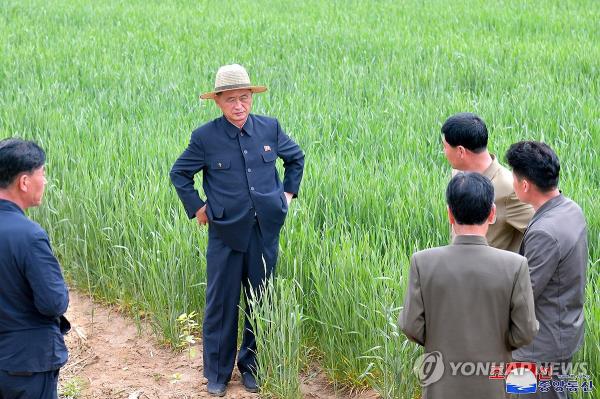 This photo, carried by North Korea's official Korean Central News Agency on May 7, 2024, shows North Korean Premier Kim Tok-hun (C) inspecting a farm in Singye County of the North Hwanghae Province. (For Use o<em></em>nly in the Republic of Korea. No Redistribution) (Yonhap)